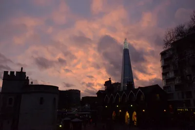 DSC_5687 (Large).JPG